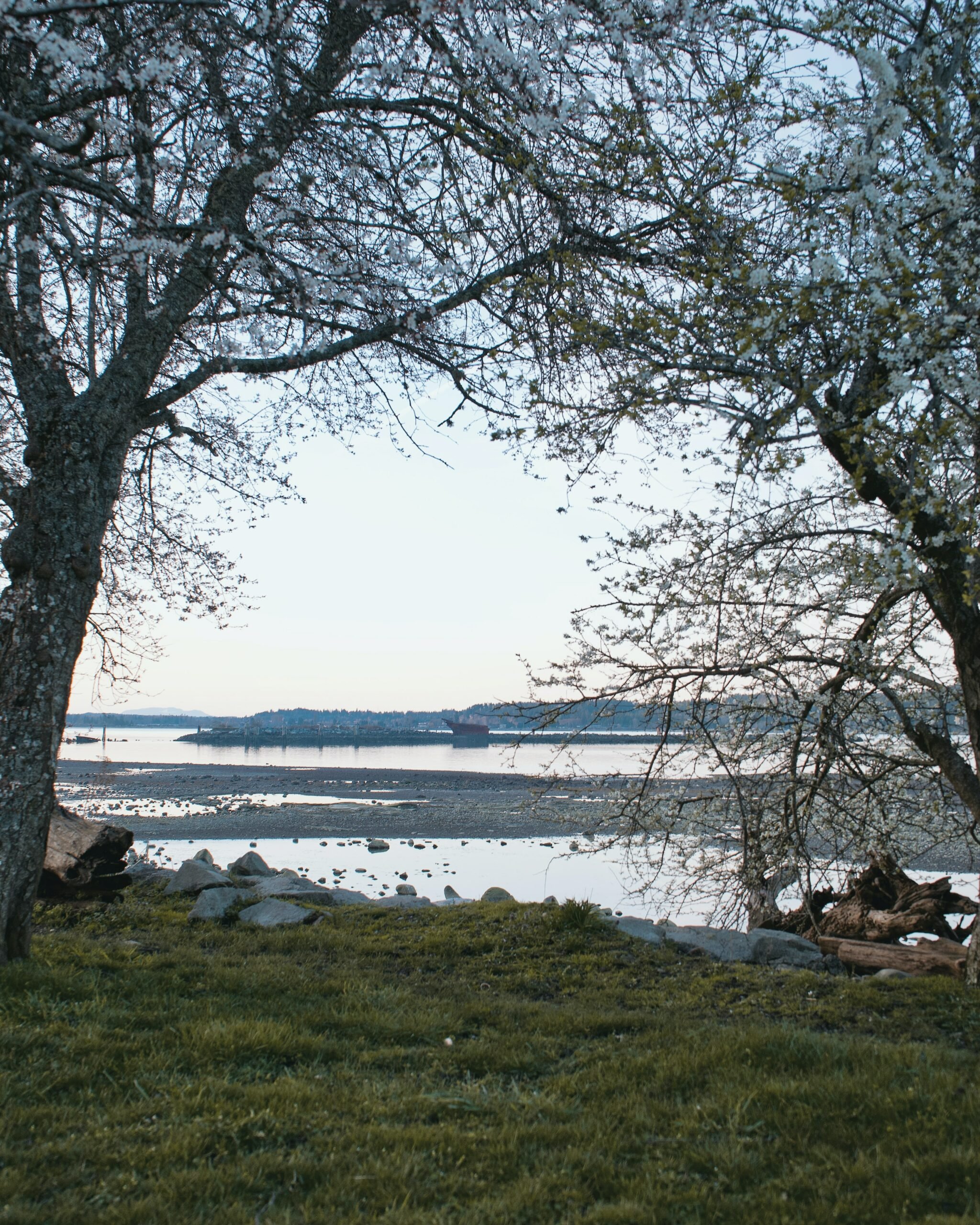 smythe-location-courtenay-beach