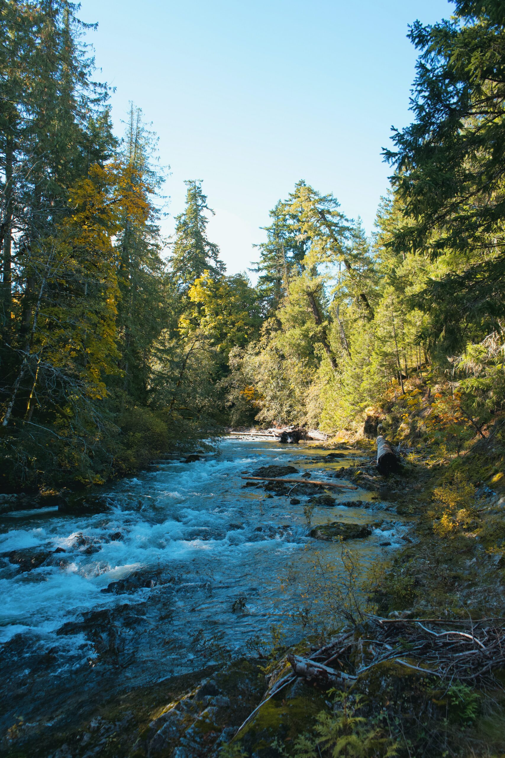 Smythe-location-port-alberni-river