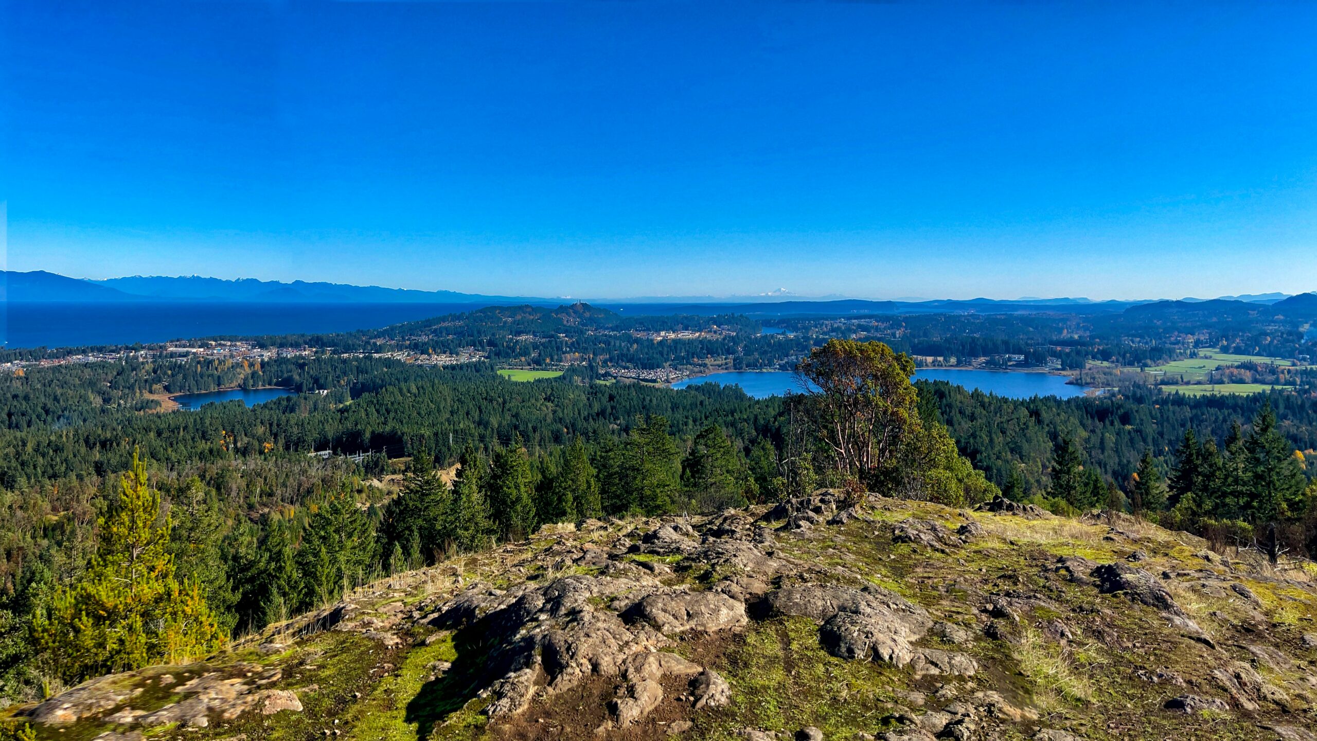 Smythe-location-nanaimo-forest