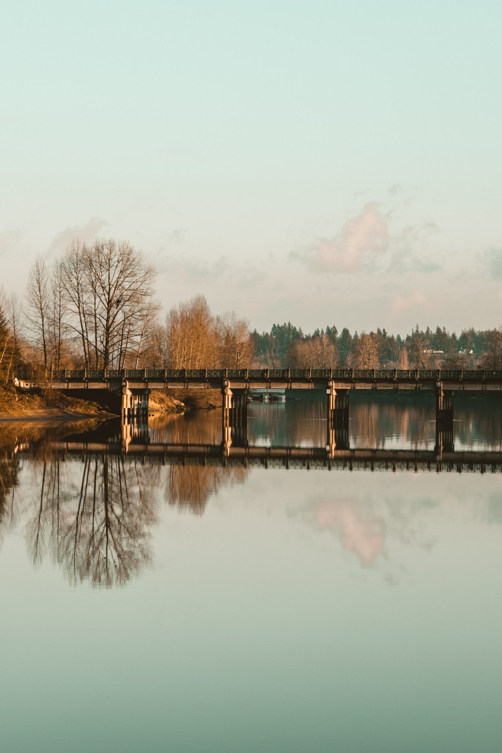 Smythe-Location-Langley-Fraser-River