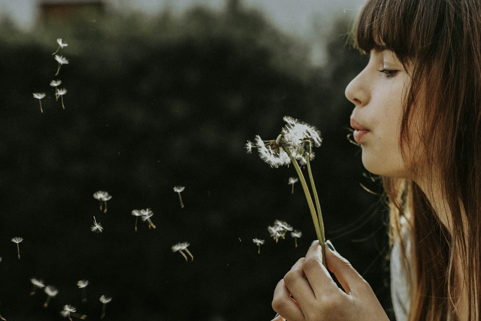 woman blowing dandelions